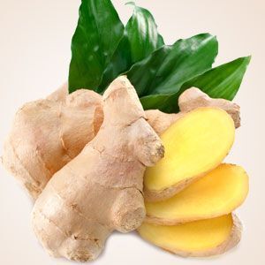 GINGER