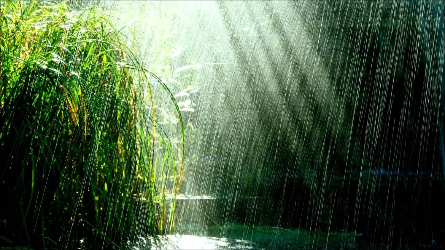 ISLAND RAIN