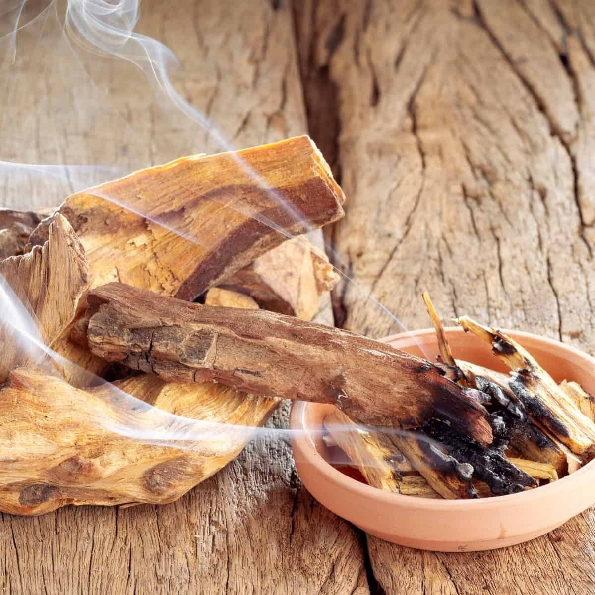 PALOSANTO