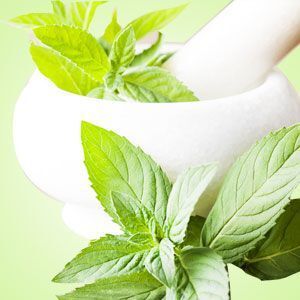 PEPPERMINT FRAGRANCE
