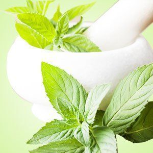 PEPPERMINT OIL