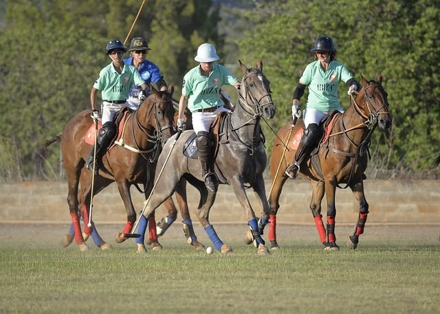 POLO