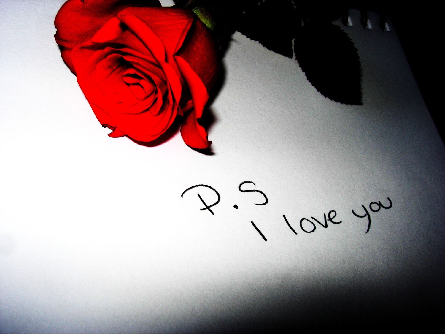 PS I LOVE YOU