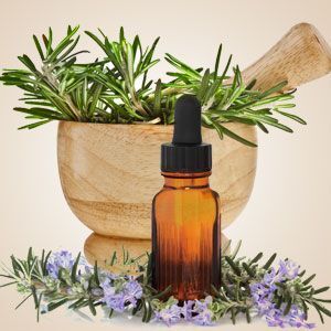 ROSEMARY