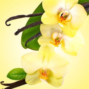 VANILLA
