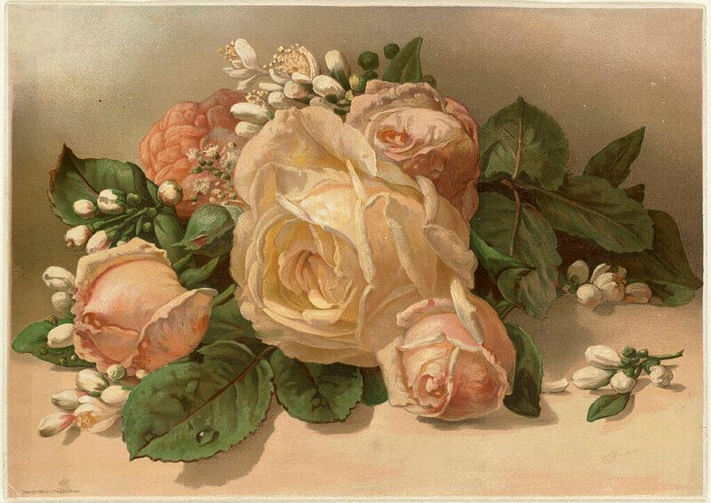 VICTORIAN ROSE Type