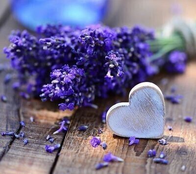 LAVENDER