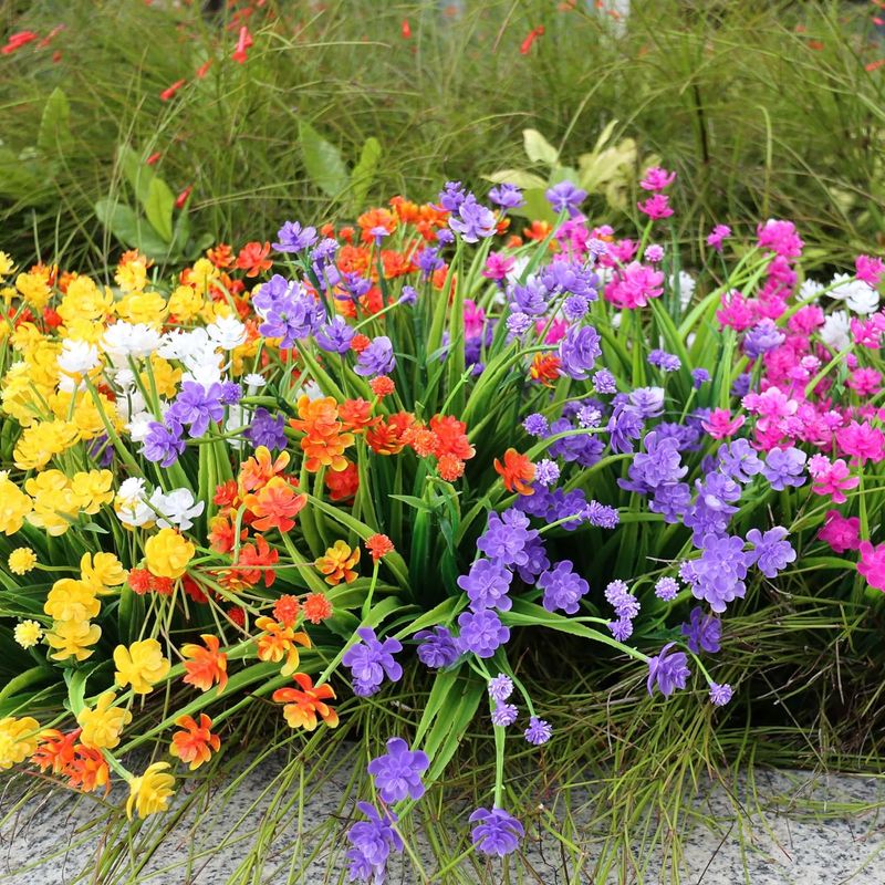 Best Sellers  Oil Fragrance