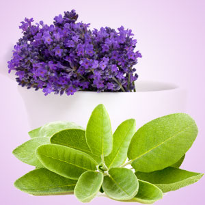 LAVENDER SAGE FRAGRANT OIL