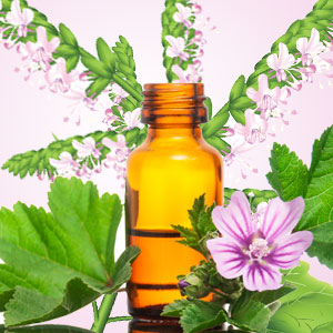 Patchouli Fragrant Oil  type