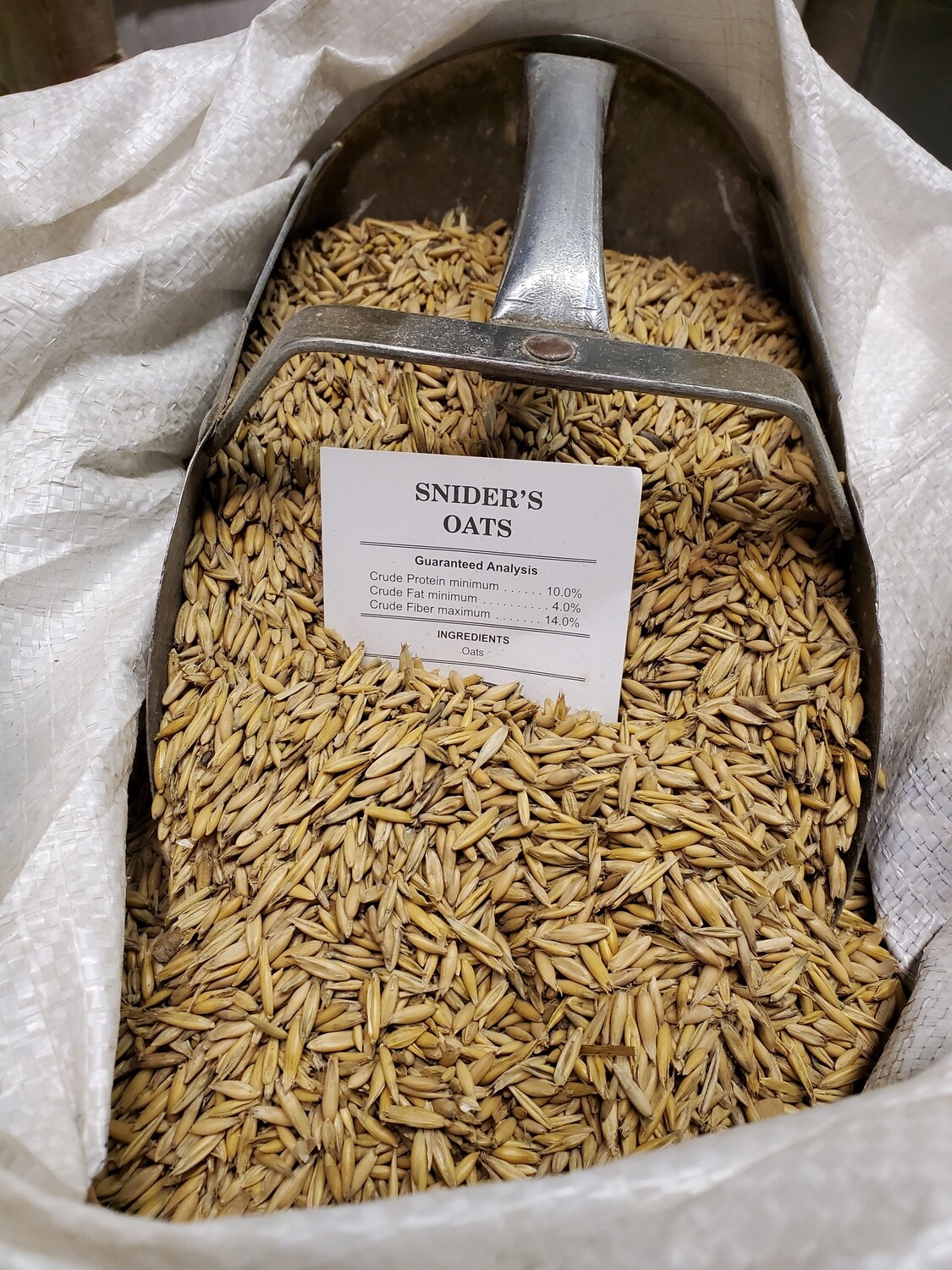 Oats Whole 50# Bagged (Canadian)