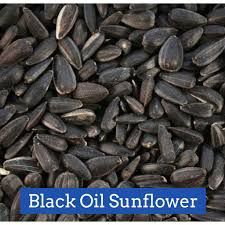 Local Black Oil /Non -GMO Sunflower Seed 50#