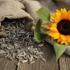 SUNFLOWER SEED