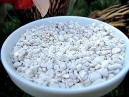 Oyster Shell Poultry 50#