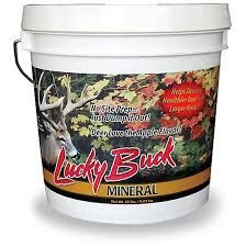 Lucky Buck Mineral Supplement