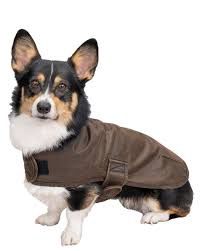 Marty Canine Jacket