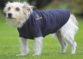 Digby &amp; Fox Fleece Dog Jumper XS