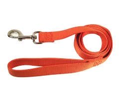 Hot Orange 1&quot; x 4&#39; Nylon Lead