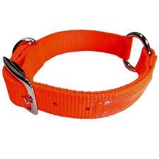 Hot Orange 1&quot; x 18&quot; Collar with  Reflective Tape