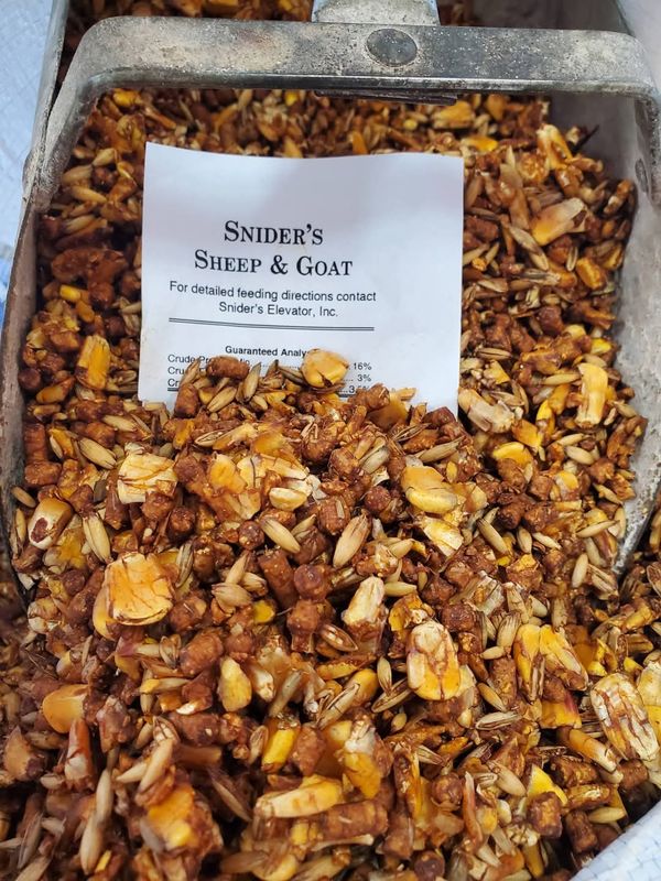 Snider's Elevator Exclusive Feeds