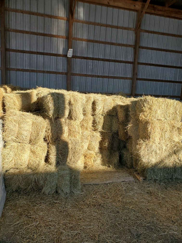 Grass Hay Mix Bale 30-40 lbs.