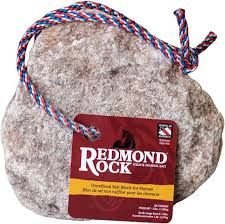 Redmond Equine Rock on a Rope