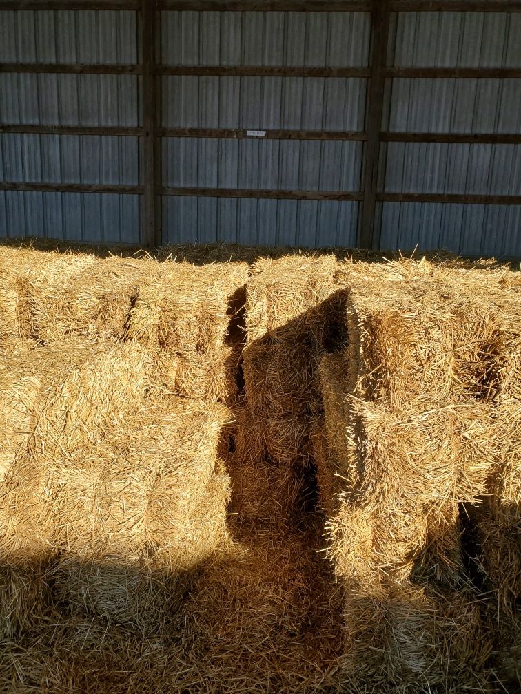 Straw Bale 30-40 lbs.