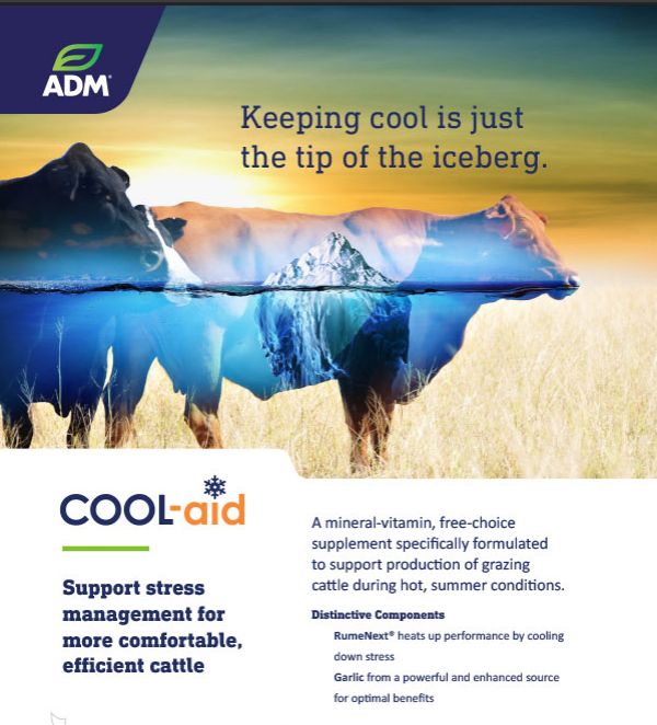 ADM Cool-Aid BAG 25#