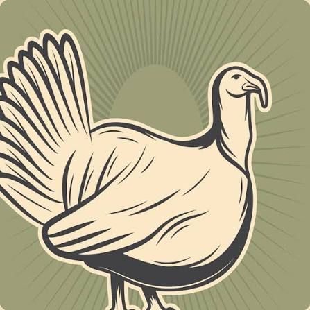 Flight Ready Game Bird Starter  (Non Med Turkey) 28% Bag 50#