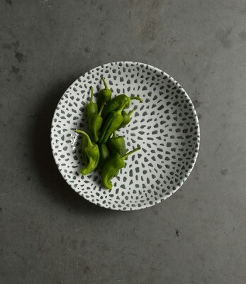 Terrazzo Green