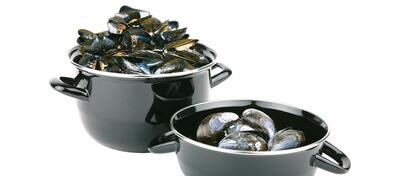 Pentole per Conchiglie