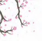 Plus Sakura