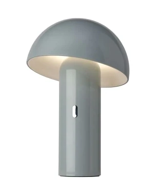 Svamp