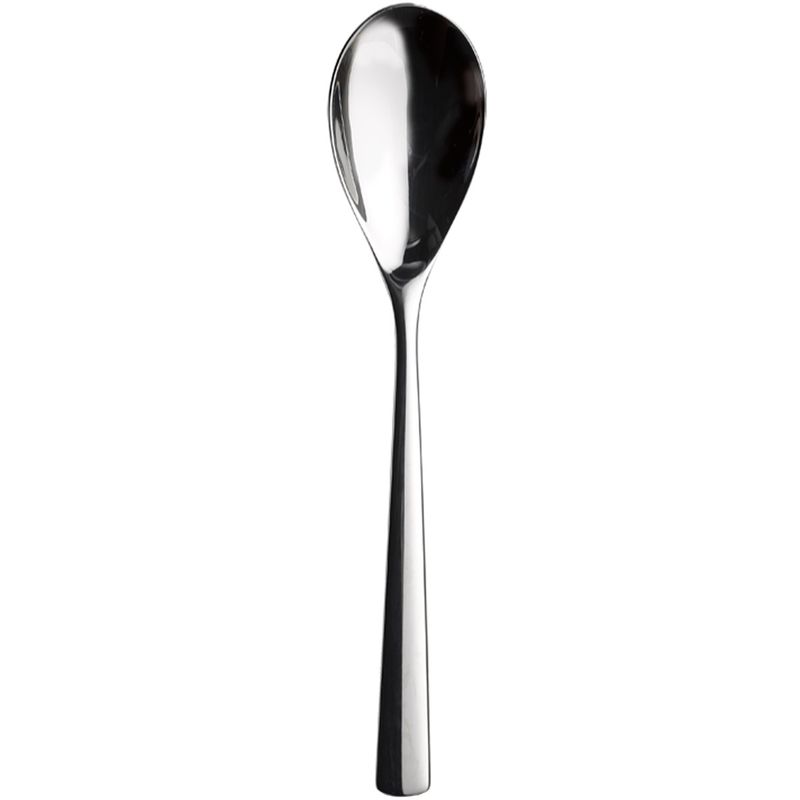 Churchill - Cucchiaio da dessert 18,2 cm Evolve