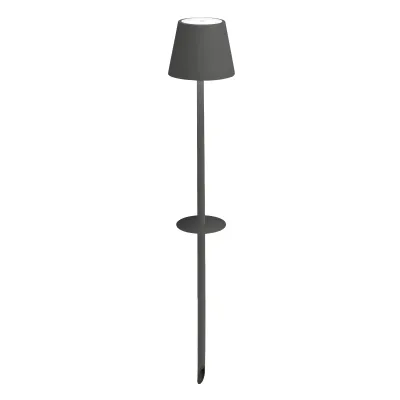 Poldina Picchetto