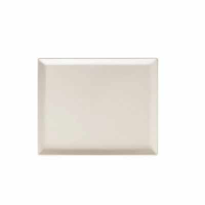 Tognana - Vassoio GN 1/2 32,5 x 26,5 cm Show Plate