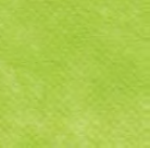 Rotolo Roll 1.2x5 m conf 20 pz