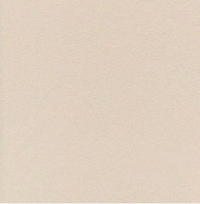 Tovagliolo Napkin 40x40 conf 800 pz