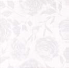 Tovaglia Tablecloth 100x100 conf 100 pz