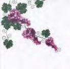 Tovaglia Tablecloth 100x100 conf 100 pz