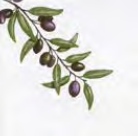 Tovaglia Tablecloth 100x100 conf 100 pz