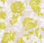 Tovaglia Tablecloth 100x100 conf 100 pz