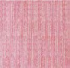 Tovagliolo Napkin 44x44 conf 800 pz