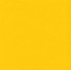 Monovelo 1 Ply 24x24 conf 2.000 pz