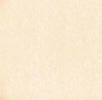 Quadrata Square120x120 conf 12 pz