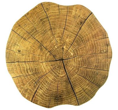 Tovaglietta Rotonda Legno 38 cm Marrone - Tirolix