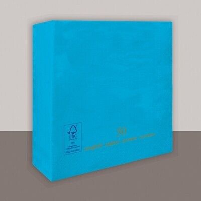 Tovagliolo Turchese 2 veli 38x38 cm Punta/Punta - Tirolix