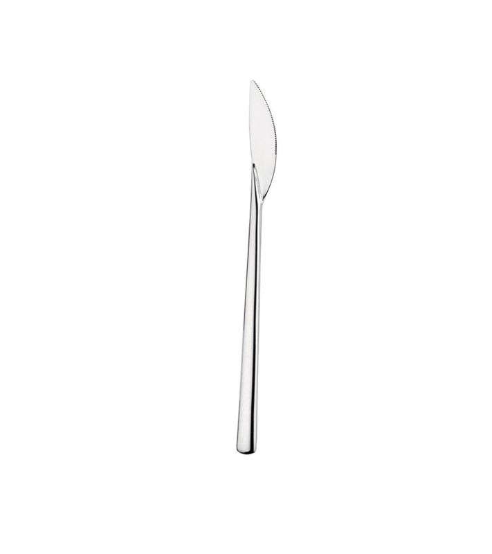 Pintinox - Coltello Tavola Tecna