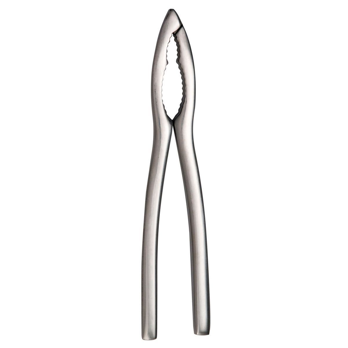 Degrenne - Pinza per crostacei 16 cm