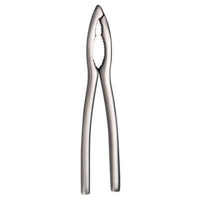 Degrenne - Pinza per crostacei 16 cm